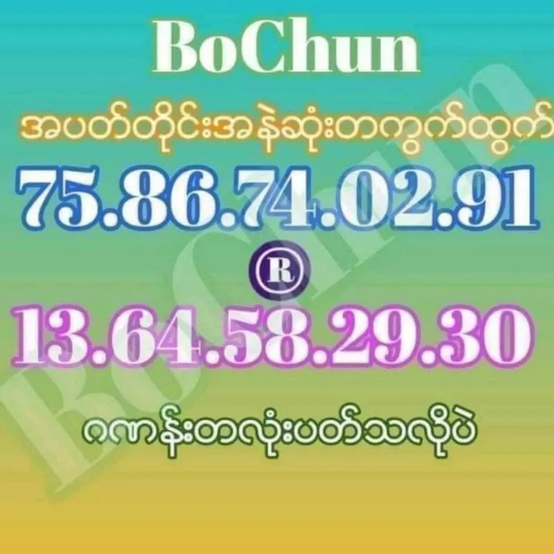 Bo Chun 2 D