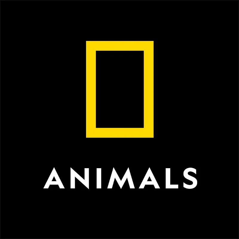 Nat Geo Animals