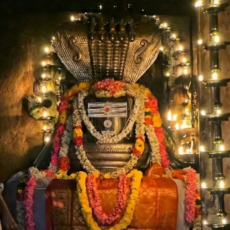 m.srilatha - Vlogs🥰