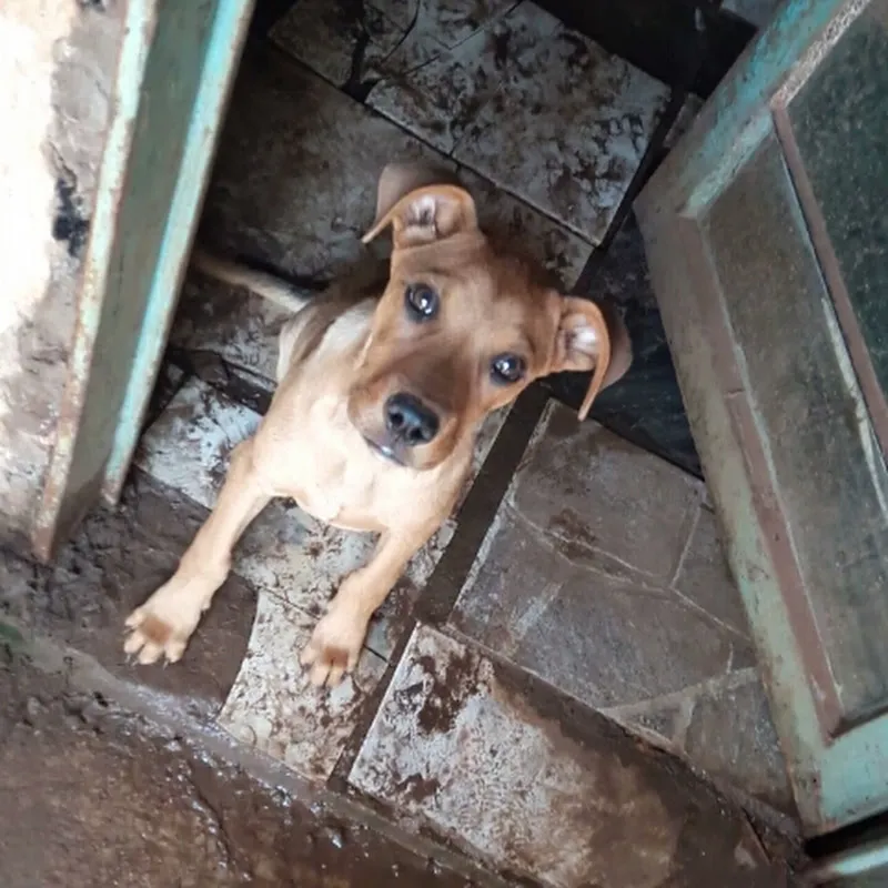 Luiz Fernando Gonzaga