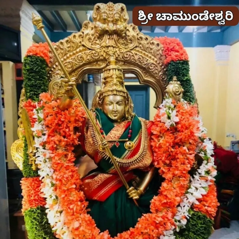 Sarovara shorts video